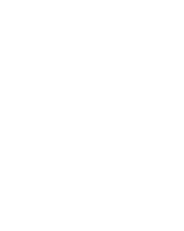 IRONSLAVE